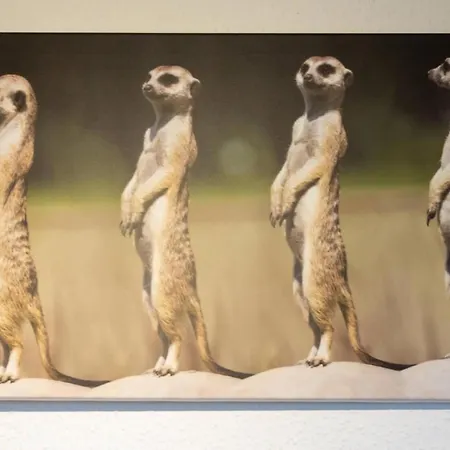 Apartament Nordseebrise Dornumersiel