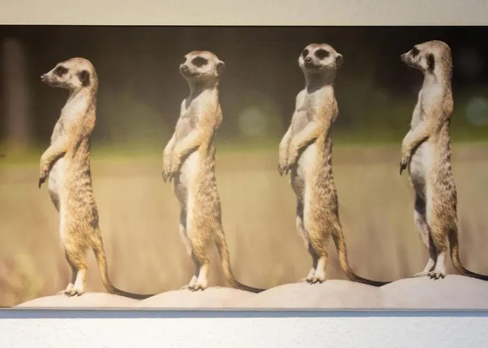 Daire Nordseebrise Dornumersiel